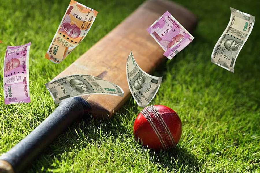 Cricket Betting